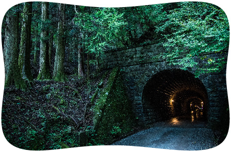 写真：天城トンネル